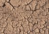 La sequía, la mayor preocupación de los extremeños