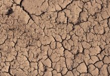 La sequía, la mayor preocupación de los extremeños