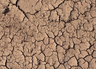 La sequía, la mayor preocupación de los extremeños