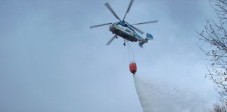 incendio en Pinofranqueado