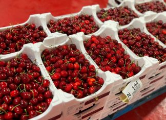 ayuda para los cereceros del Jerte