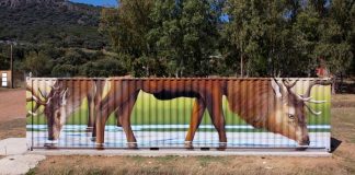 Mural Ciervos embalse García Sola