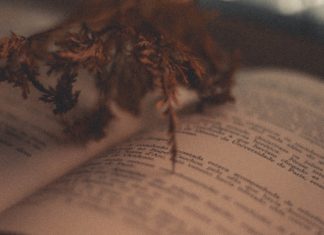 La poesía protagonizará la iniciativa ‘Patios Contados’ en Valencia de Alcántara