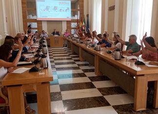 primer pleno legislatura Cáceres