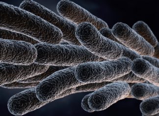 nuevo caso de legionela en Cáceres