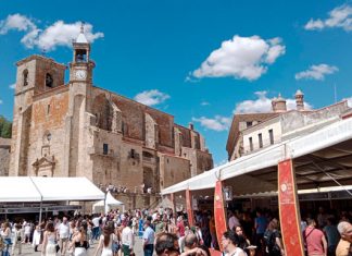 Torta del Casar Feria Trujillo 2024