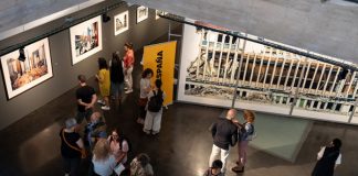 Museo Helga de Alvear en PhotoEspaña 2025