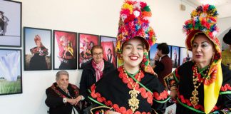 Yo tengo un novio aceitunero