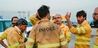 Infoex