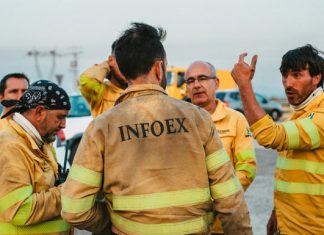 Infoex