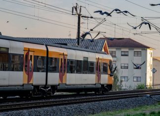 Las cosas del querer