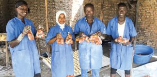 Tracy y sus compañeros sostienen paquetes de donas elaboradas en la panadería que instalaron en Buterere con el apoyo de UNICEF. @UNICEF Burundi/2025/J.G. Uwamahoro