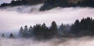 En los días de mi infancia