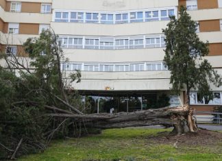 Dispositivo de emergencia en Cáceres por el temporal