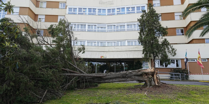 Dispositivo de emergencia en Cáceres por el temporal