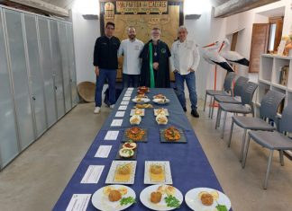 Guía completa de la Ruta de la Tapa de Patatera 2026