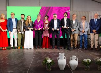 Una noche para entendernos: Cáceres celebra la cultura en los Premios Avuelapluma