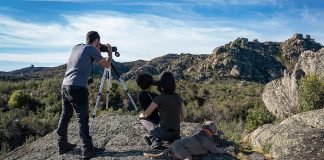 Extremadura lleva su oferta de turismo ornitológico a la feria británica Global Birdfair Extremadura se promociona como destino de turismo ornitológico en la feria británica Global Birdfair