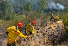 Pinofranqueado mantiene el nivel 2 con 3.700 hectáreas quemadas Medios de extinción trabajan sobre el terreno en el incendio de Las Hurdes.