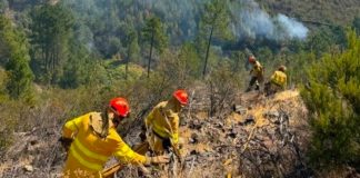 Pinofranqueado mantiene el nivel 2 con 3.700 hectáreas quemadas Medios de extinción trabajan sobre el terreno en el incendio de Las Hurdes.