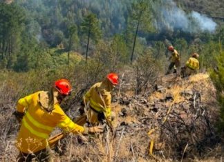 Pinofranqueado mantiene el nivel 2 con 3.700 hectáreas quemadas Medios de extinción trabajan sobre el terreno en el incendio de Las Hurdes.
