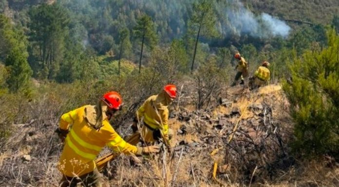 Medios de extinción trabajan sobre el terreno en el incendio de Las Hurdes.