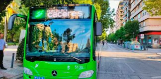 Bus gratis en Cáceres este martes