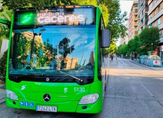 Bus gratis en Cáceres este martes