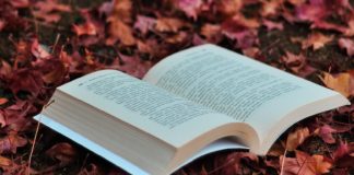 El Otoño Literario de Cáceres trae tres nuevas presentaciones esta semana
